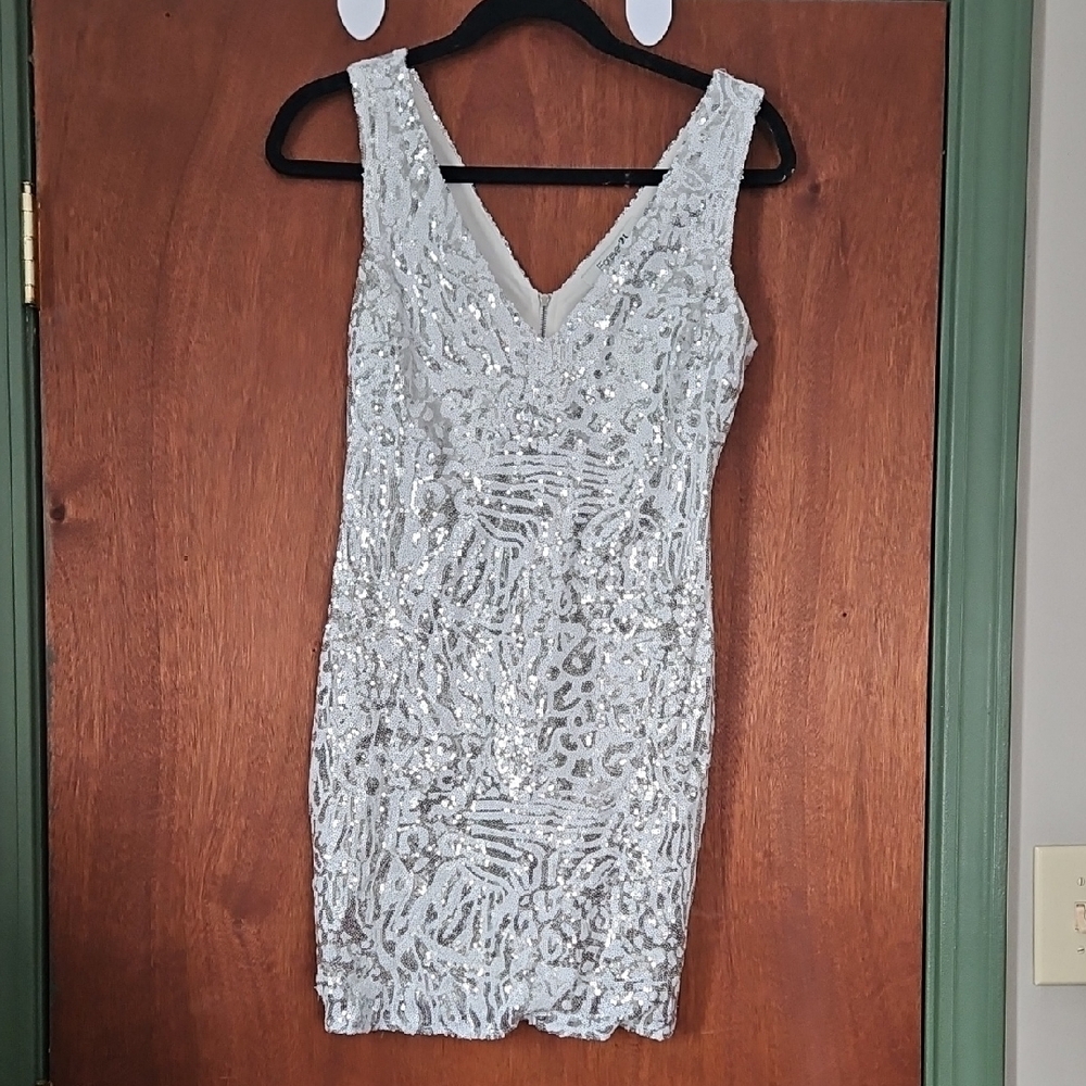 Elegant Silver Sequin Dress